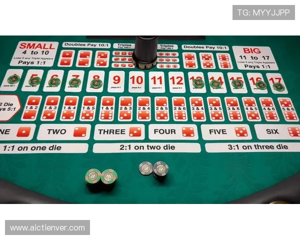 全面解析骰宝游戏的基本规则与常见玩法新手也能快速上手