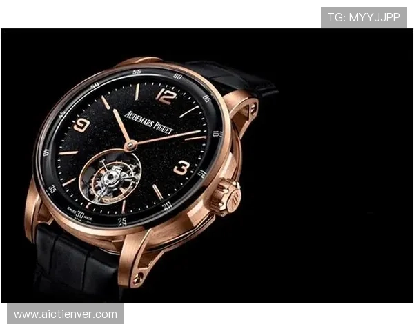 乐竞体育app官网入口官方入口地址详解，确保用户安全稳定登录享受丰富体育赛事内容